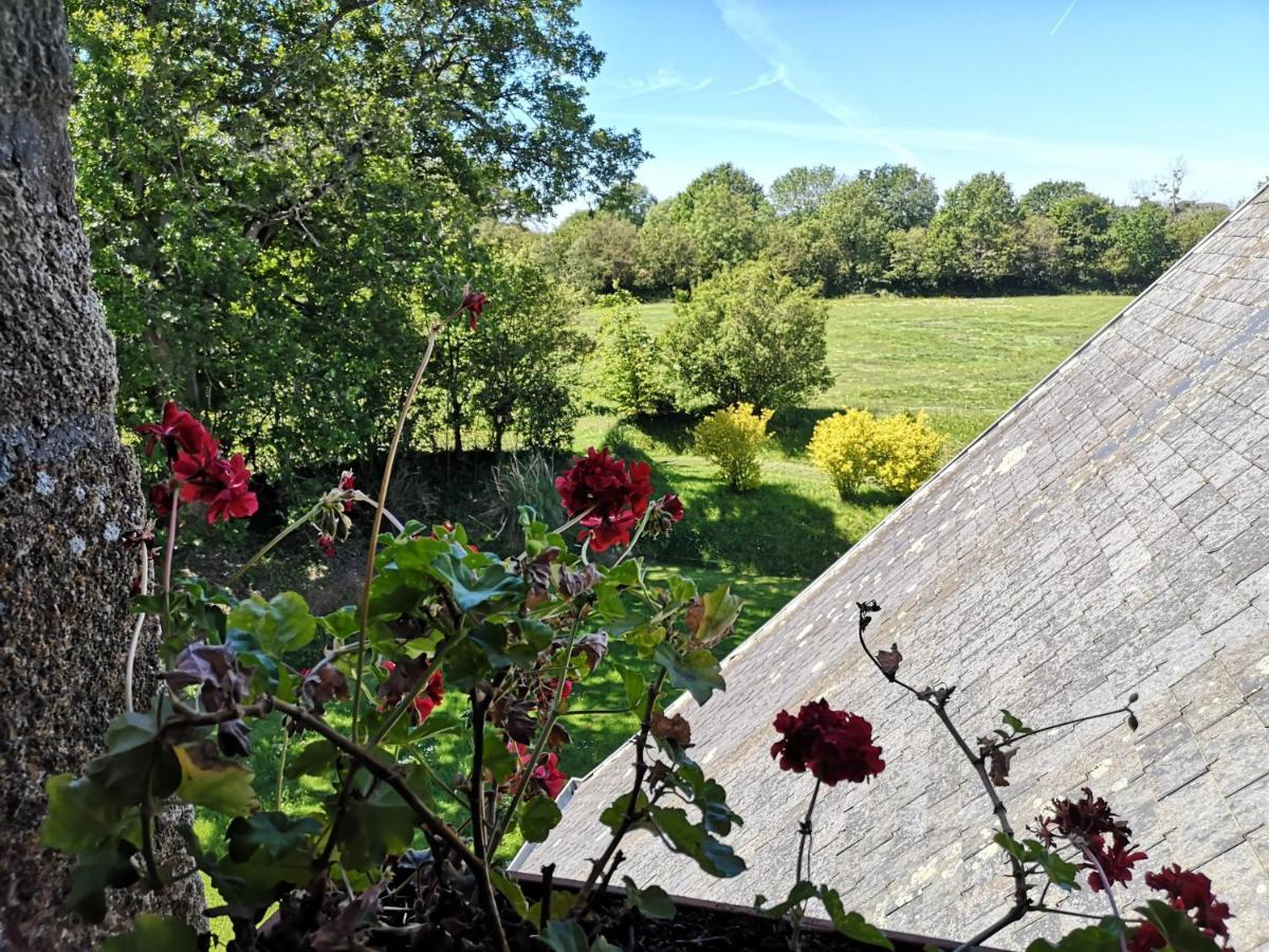 Manoir De La Foulerie Bed and Breakfast Ancteville Εξωτερικό φωτογραφία